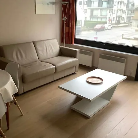 Zongerichte Sint-idesbald Met Mooi Zeezicht Appartement