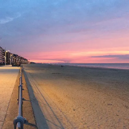 Zongerichte Sint-idesbald Met Mooi Zeezicht